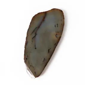 Polished Agate Slice